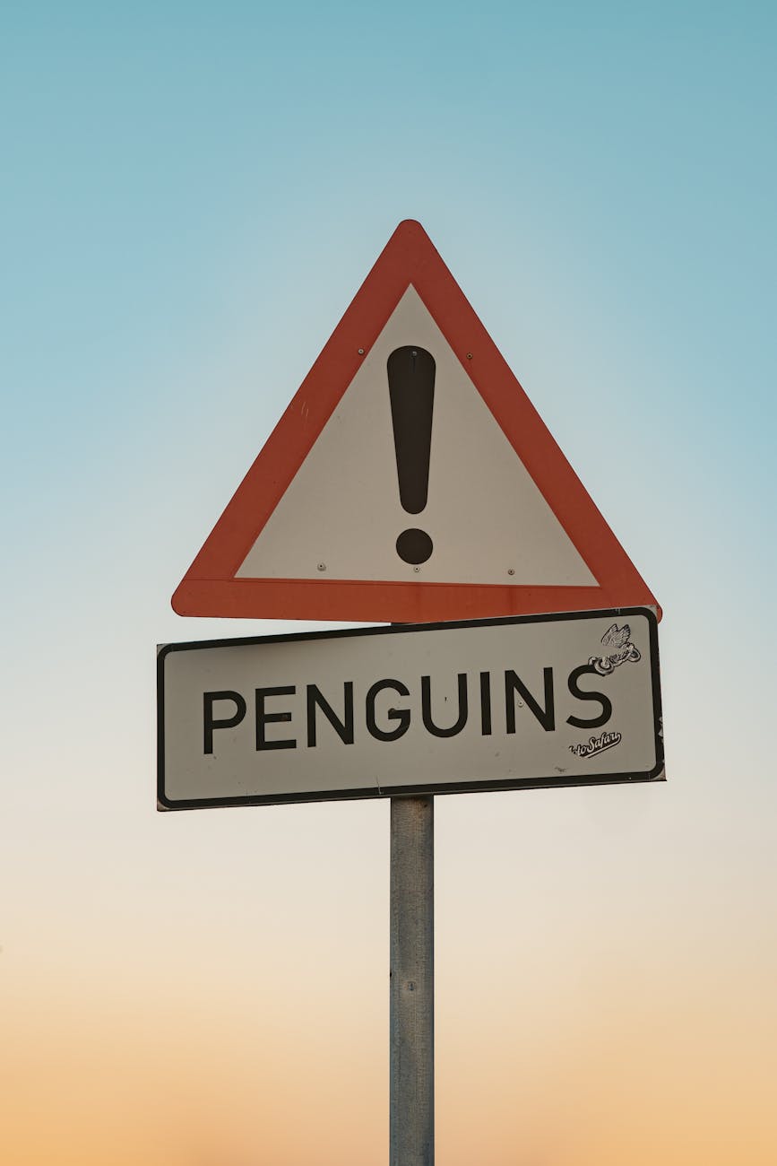 How Penguin Droppings Transform Antarctica’s Ecosystem