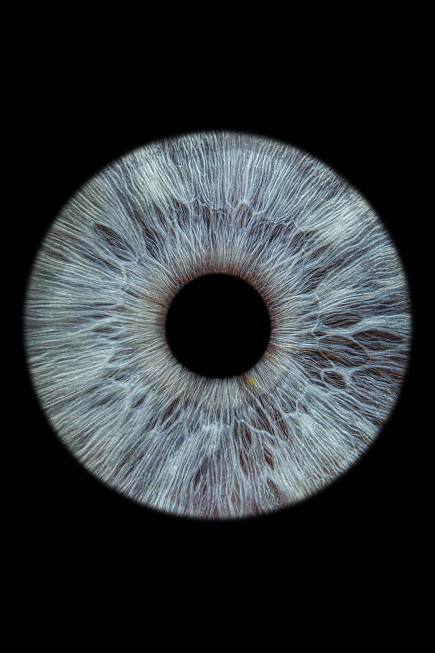 The Rise and Fall of HIIDE: A Military Biometric Legacy