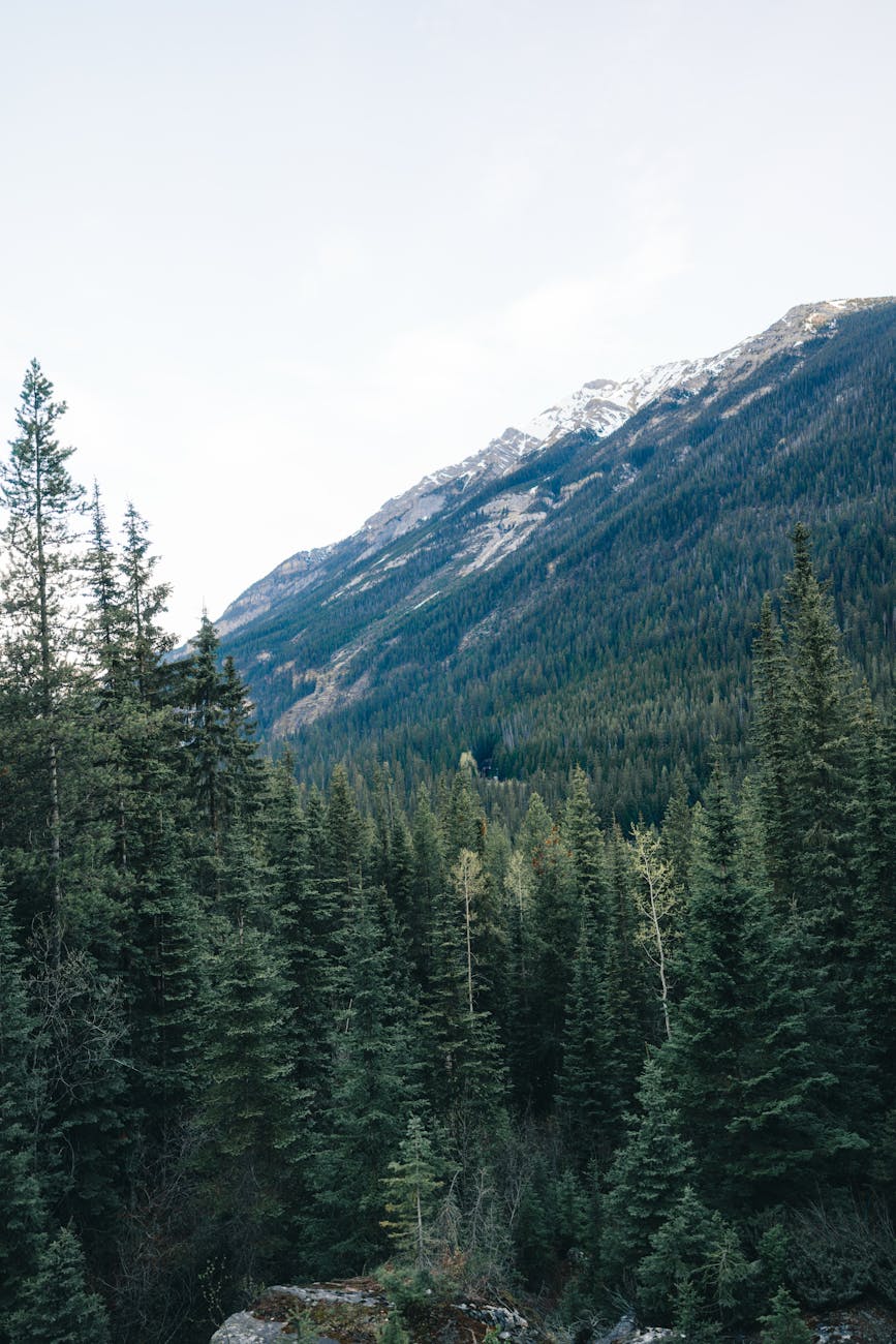 The Divide Below: Secrets and Echoes from Inside the Moffat Tunnel