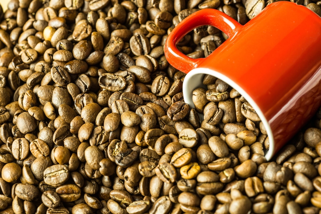 Is There Mold in Your Morning Coffee? What the Industry Doesn’t Want You to Know